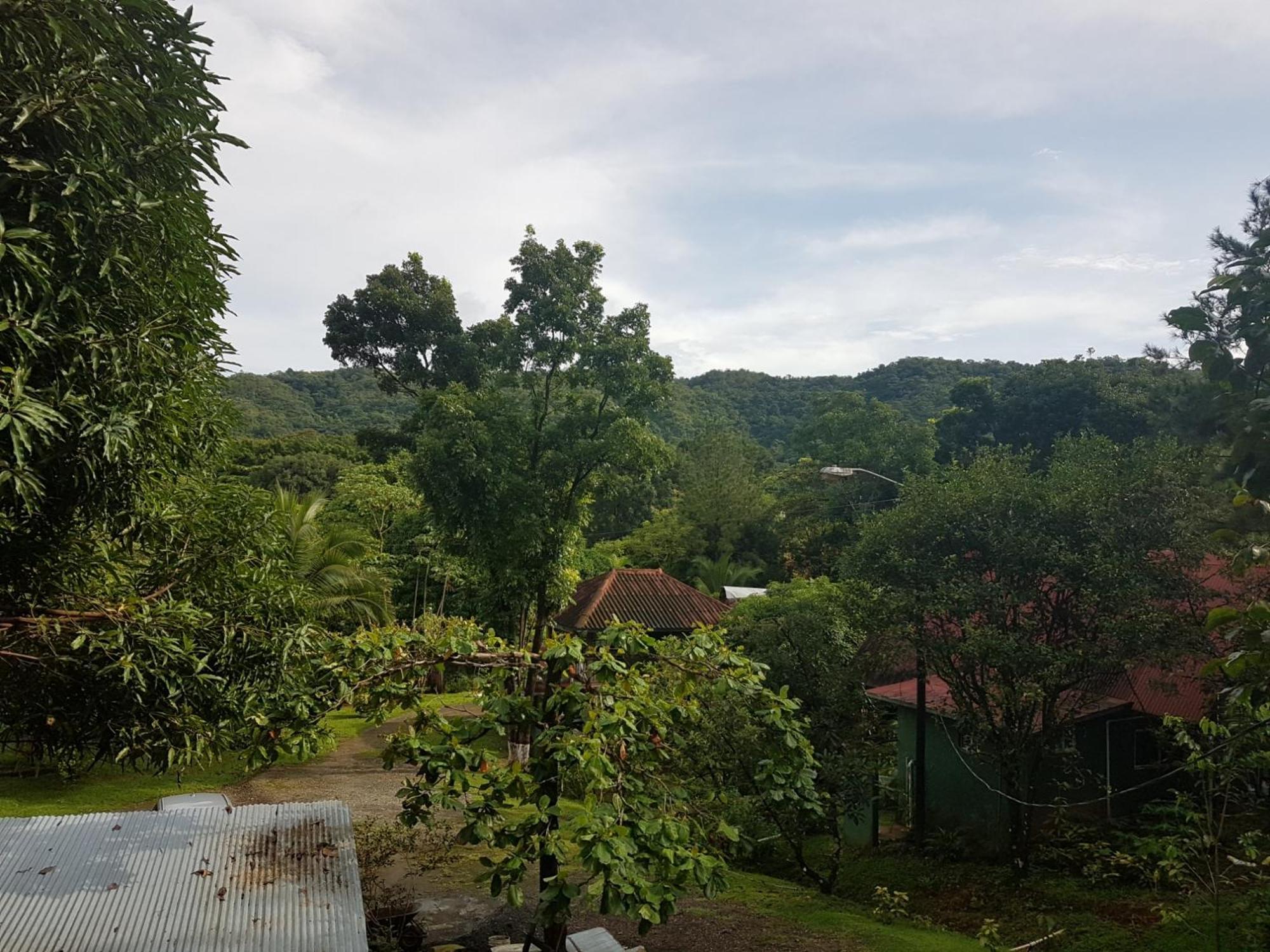 Los Pinos De Torio Екстер'єр фото